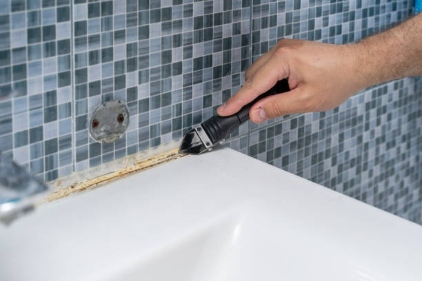 Best Mold Damage Repair  in North New Hyde Park, NY