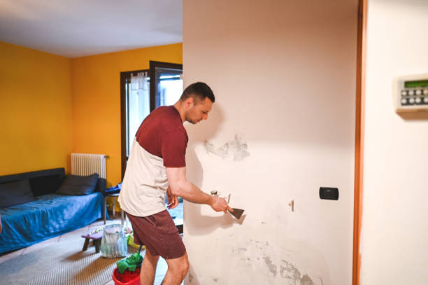 Best Mold Removal Company Near Me  in North New Hyde Park, NY